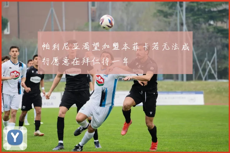 帕利尼亚渴望加盟本菲卡若无法成行愿意在拜仁待一年